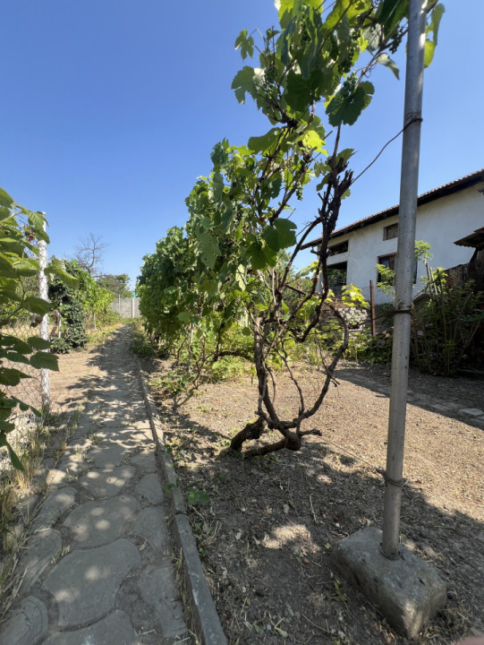Casa Individuala, 96mp utili, teren 360mp, 5 camere - Zona Steaua