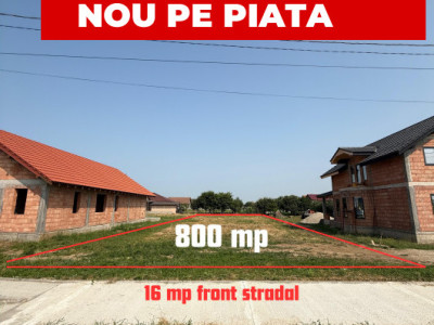 Inchiriem viitorul pe metru patrat, teren 800 mp, intravilan-Peciu Nou