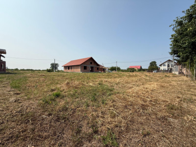 Inchiriem viitorul pe metru patrat, teren 800 mp, intravilan- Peciu Nou