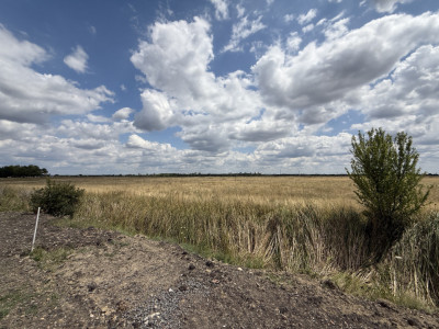 Teren Intravilan 976 mp, regim S+P+2E, utilat -  Torontalului