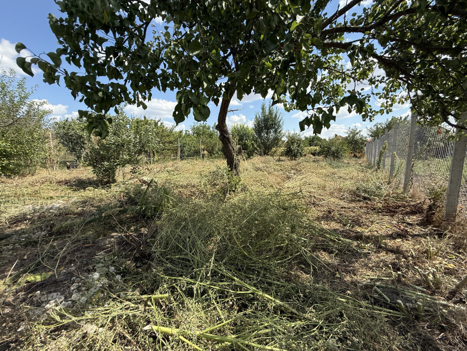 Casa individuala 2 camere, 80mp utili, 997 teren in Utvin 