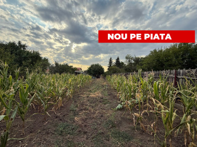 Casa cu trei camere avand 90mp suprafata utila, 1.200 mp teren, in zona Mehala 