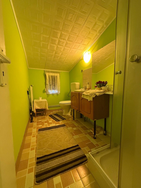 Apartament spatios, 3 camere, cu boxa pentru depozitare si gradina - Iosefin