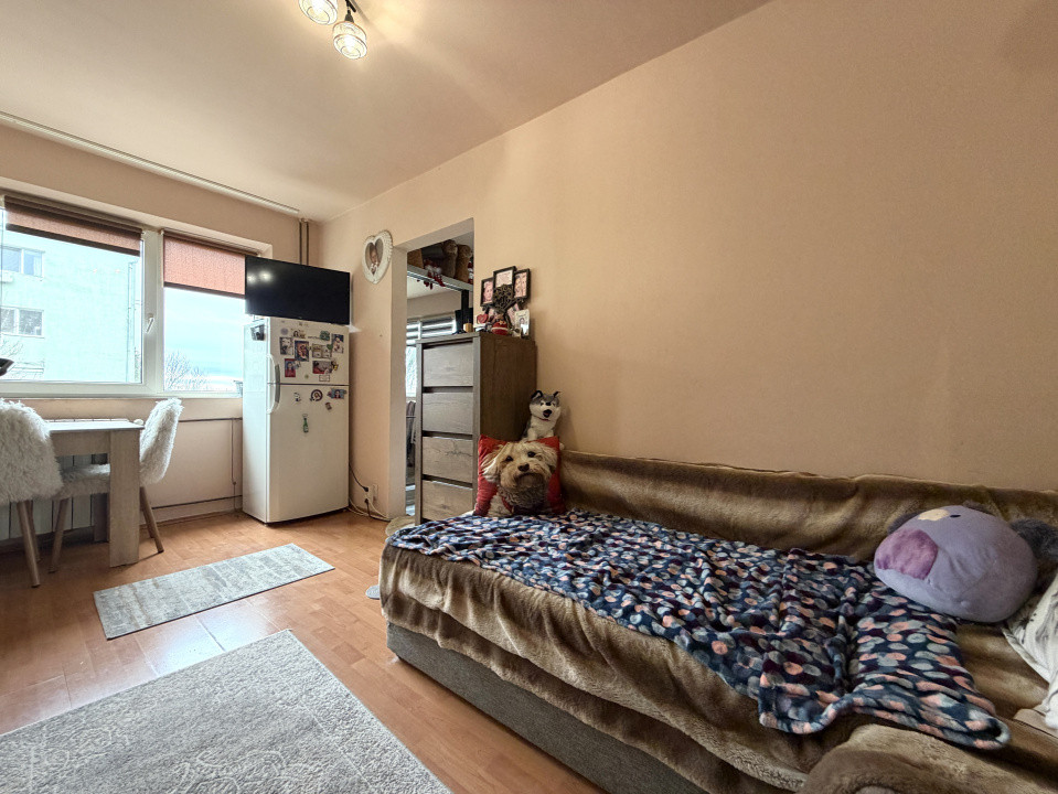 Apartament 2 camere, 27mp Utili, etaj 2, bloc anvelopat - Sagului
