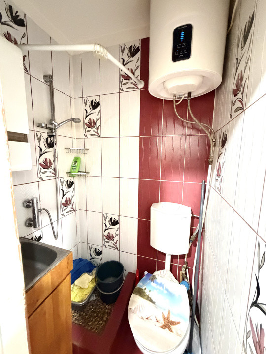 Apartament 1 camera, renovat, parter - zona Lipovei