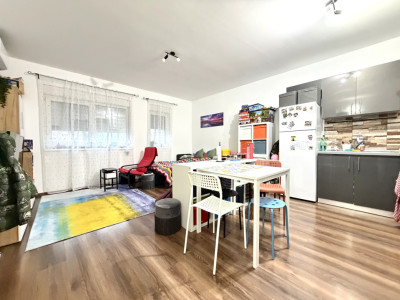 Apartament cu 2 camere, 44 mp utili, parter, mobilat - Dumbravita 
