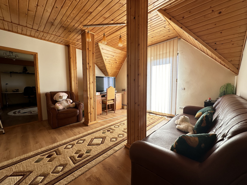 Casa individuală, 9 camere, 1600 mp teren, 300 mp utili - Sanandrei 