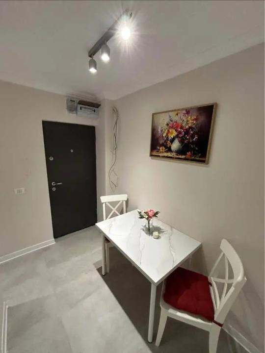 Apartament renovat, 2 camere, etaj 4 din 5 - Sagului