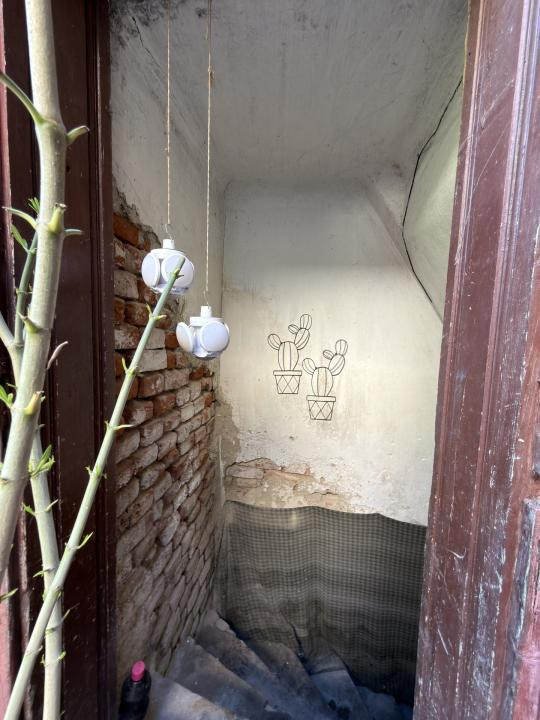Apartament 1 camera, 20mp, parter - zona Elisabetin