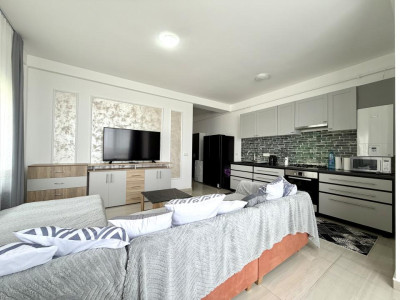 Apartament modern, 2 camere, 52.5 mp utili, etaj 2 - Dumbravita