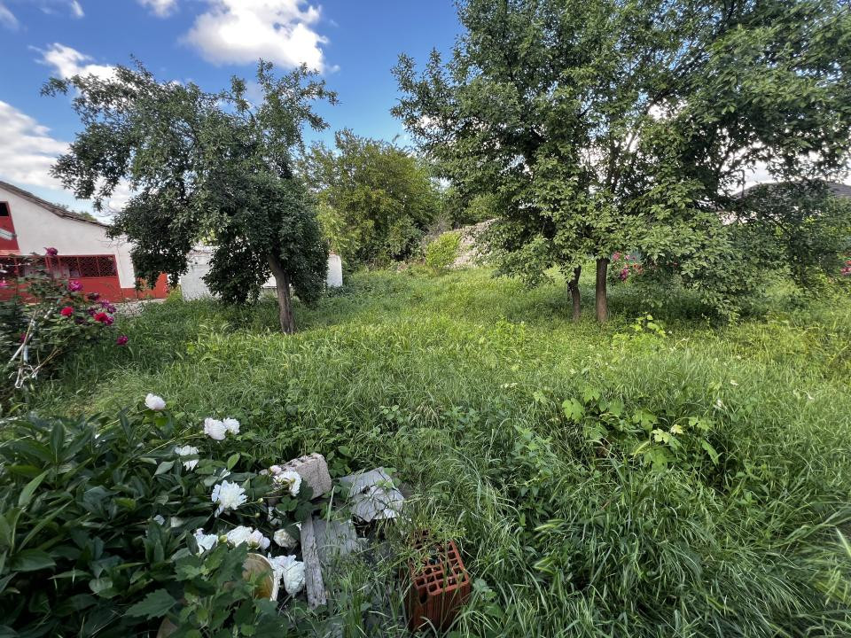 Casa cu teren mare si 33 ml Front stradal - Zona Bogdanestilor Timisoara