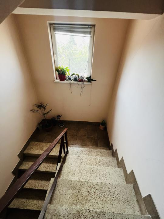 Vila cu 5 camere, 3 bai - Zona Cetatii Timișoara 