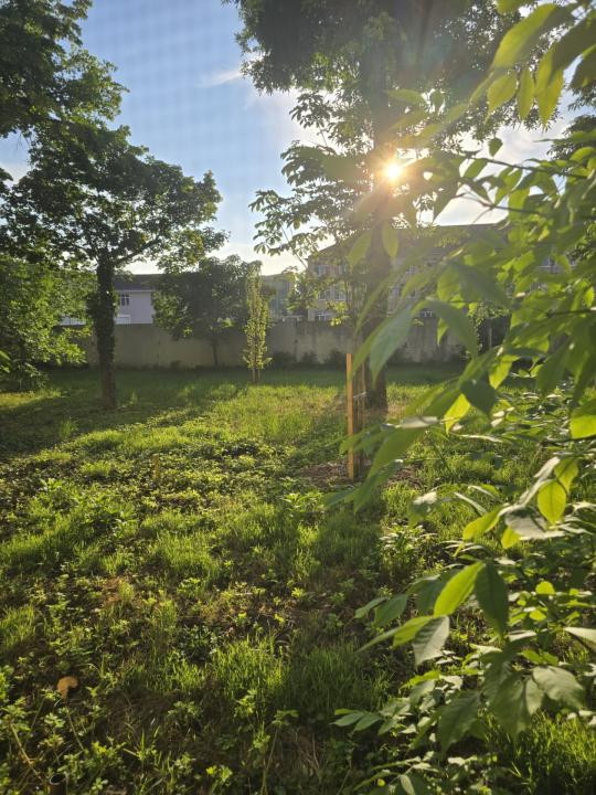Apartament 3 camere, semidecomandate, 65mp utili, zona Circumvalatiunii