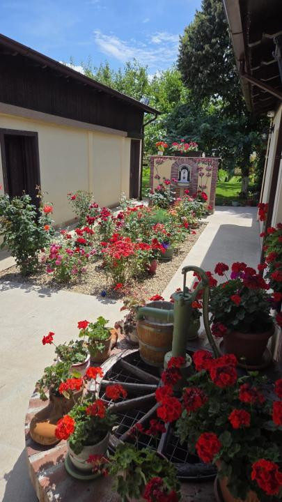 Casa din povesti, 5 camere, pe parter- zona Lipovei Timișoara 