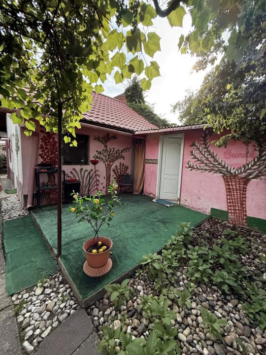 Casa 4 camere, 2 bai, 2 bucatarii, 130 mp utili, 902 teren - Bogdanestilor