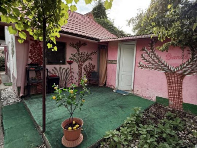 Casa 4 camere, 2 bai, 2 bucatarii, 130 mp utili, 902 teren - Bogdanestilor