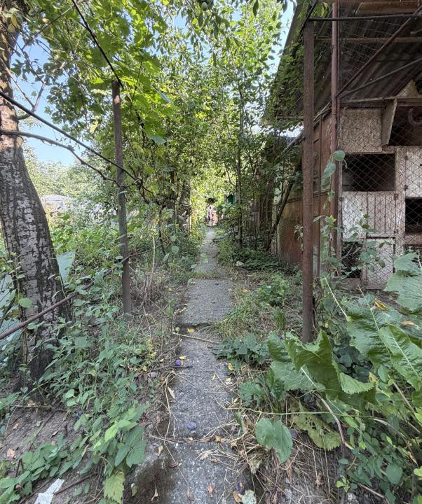 Casa individuala 6 camere, 165 mp utili, 641 mp teren - Ghiroda 