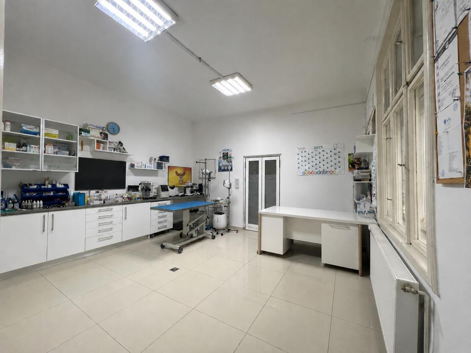 Casa individuala, 2 camere mari - zona Bogdanestilor, Timisoara 