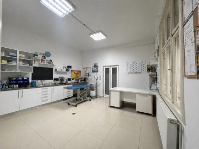 Casa individuala, 2 camere mari - zona Bogdanestilor, Timisoara 