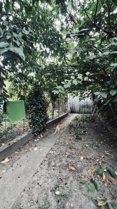 Casa individuala 6 camere, 200 mp utili, 210 mp teren-Iosefin