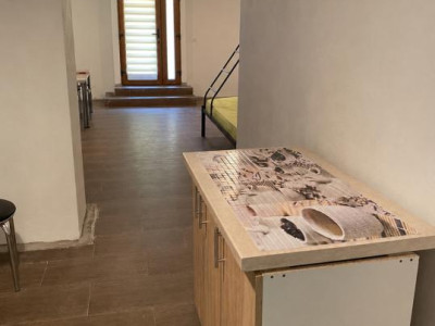 Apartament  cu o camera, 35 mp utili, demisol, zona Piata Maria