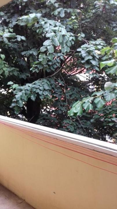 Apartament cu 3 camere, 78mp, 2 balcoane- Complexul Studentesc