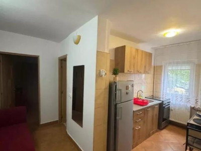 Apartament cu o camera, 40 mp utili, parter - Piata Doina