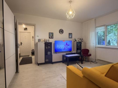 Apartament cu 2 camere, mobilat modern - zona Lipovei 