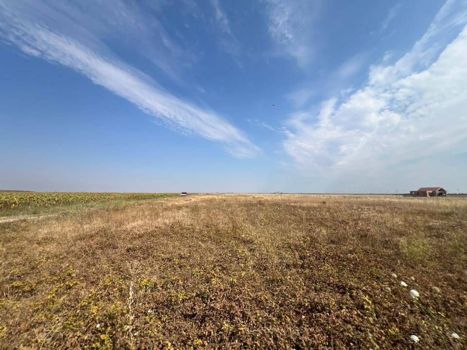Teren intravilan, 733mp, posibilitate investitie-Sanandrei