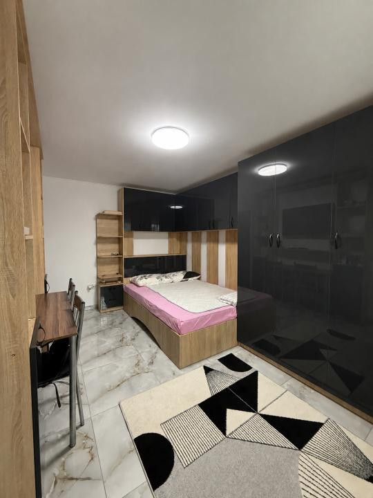 Apartament cu o camera, etaj 2, complet renovat - Sagului