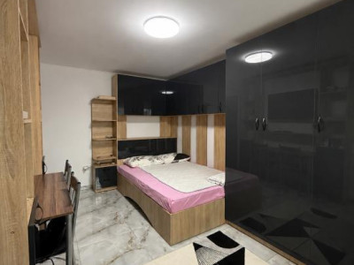 Apartament cu o camera, etaj 2, complet renovat - Sagului