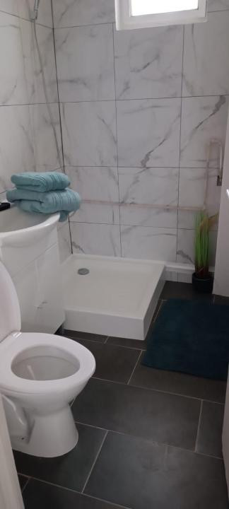 Apartament cu 2 camere mobilat si utilat- zona Balcescu