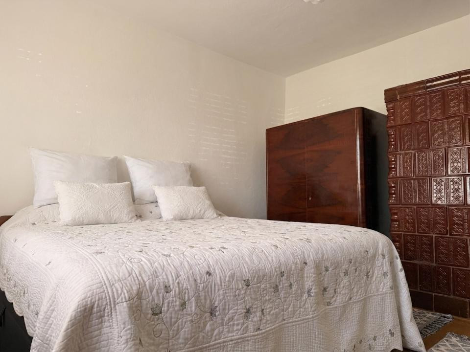 Casa individuala, 200 mp utili, 1005 mp gradina , anexe - Sag