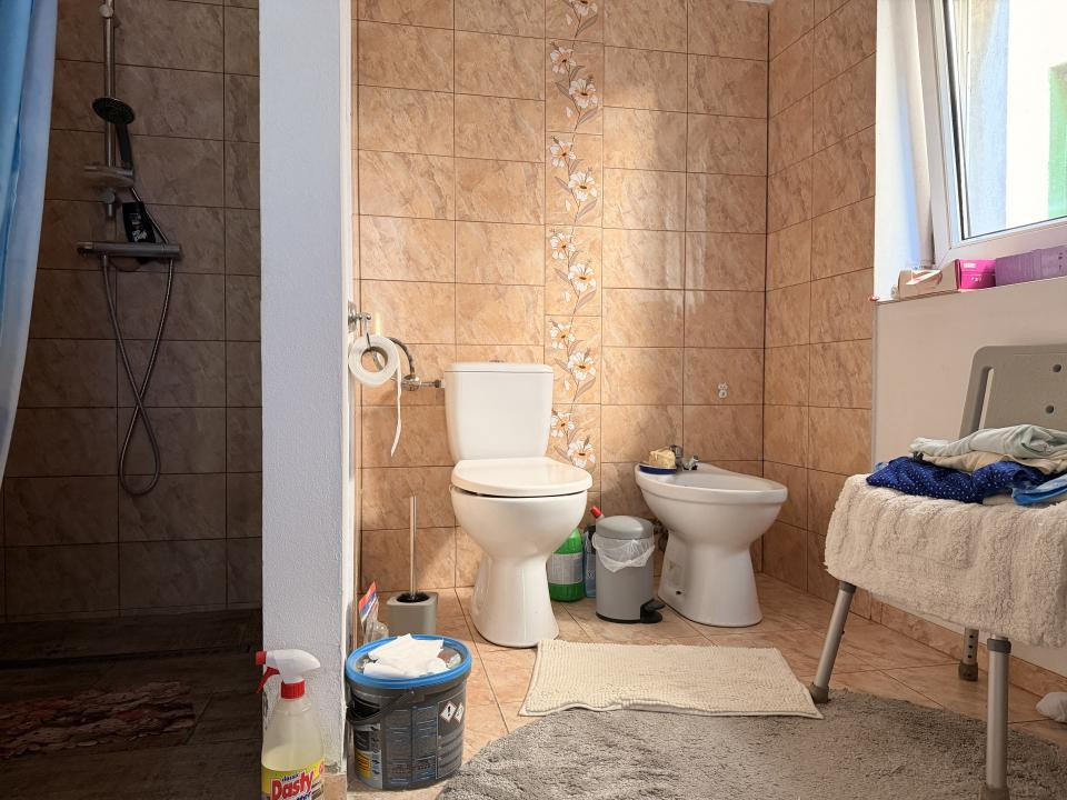 Casa individuala, 200 mp utili, 1005 mp gradina , anexe - Sag
