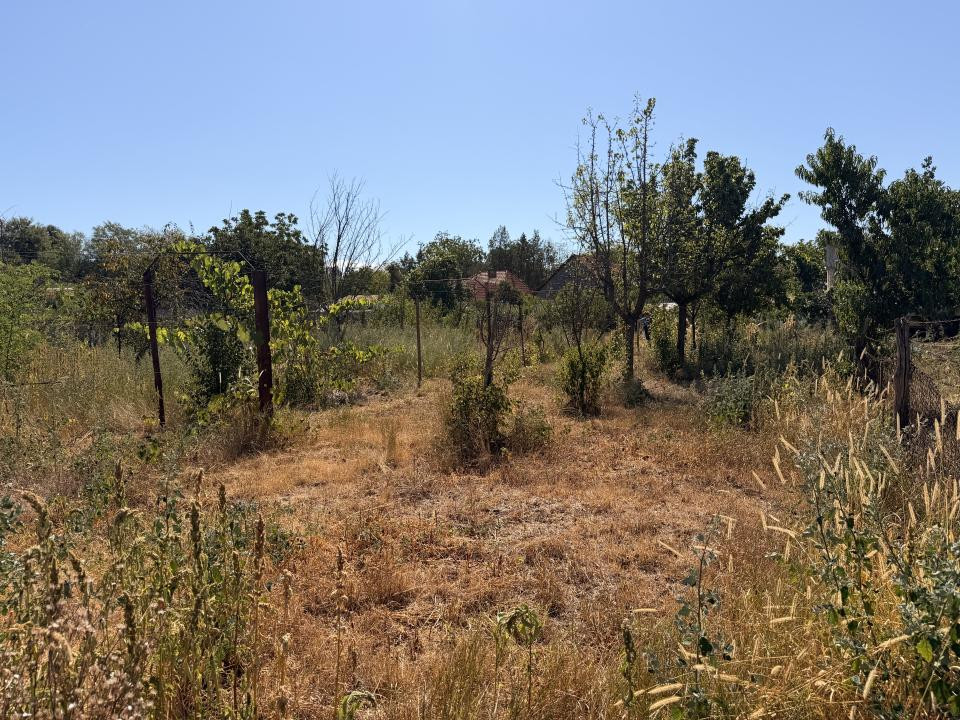 Casa individuala, 200 mp utili, 1005 mp gradina , anexe - Sag