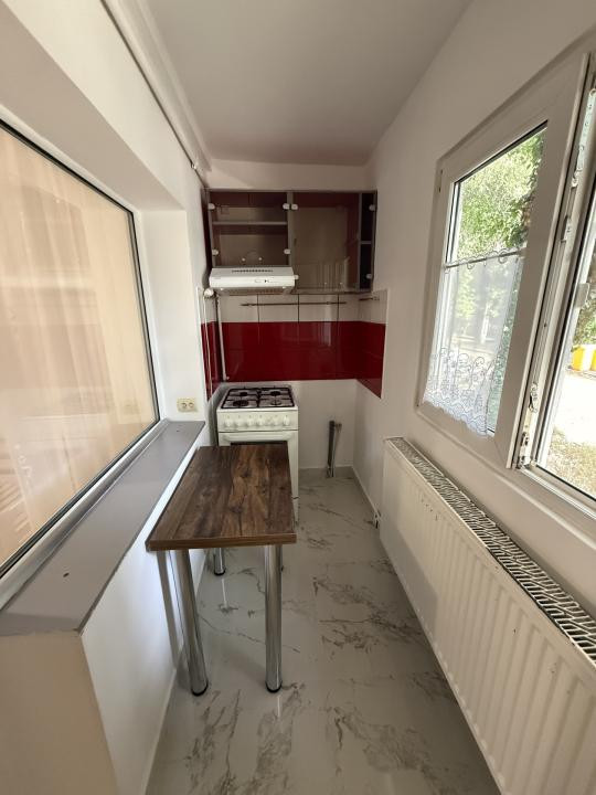 Apartament cu o camera, 22 mp utili, parter - Lipovei
