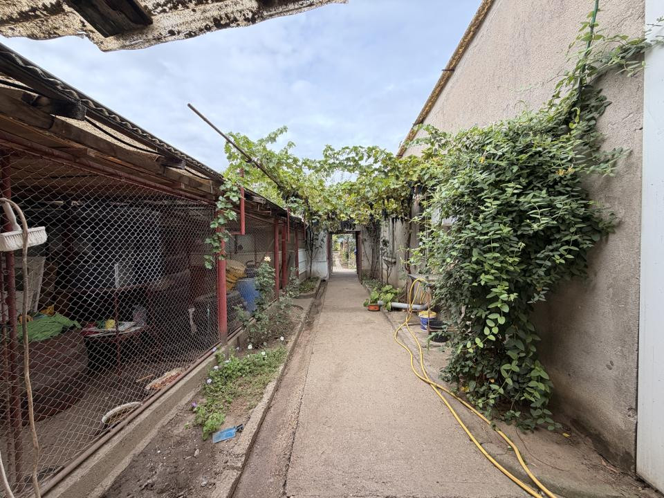 Casa individuala, 300 mp, utili, 1100 mp gradina   - Sag