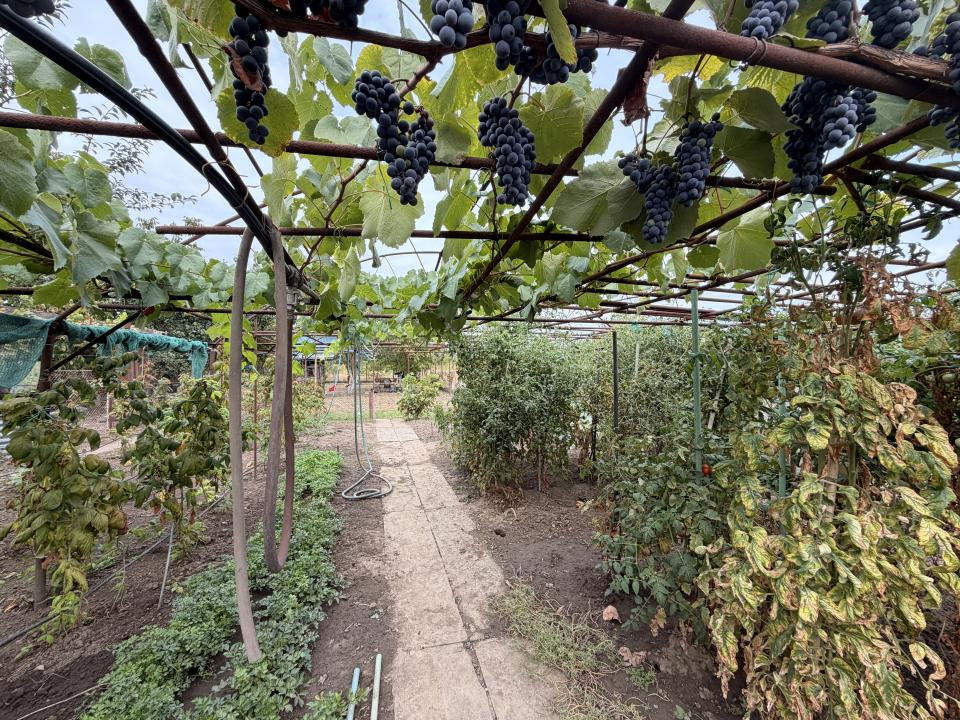 Casa individuala, 300 mp, utili, 1100 mp gradina   - Sag