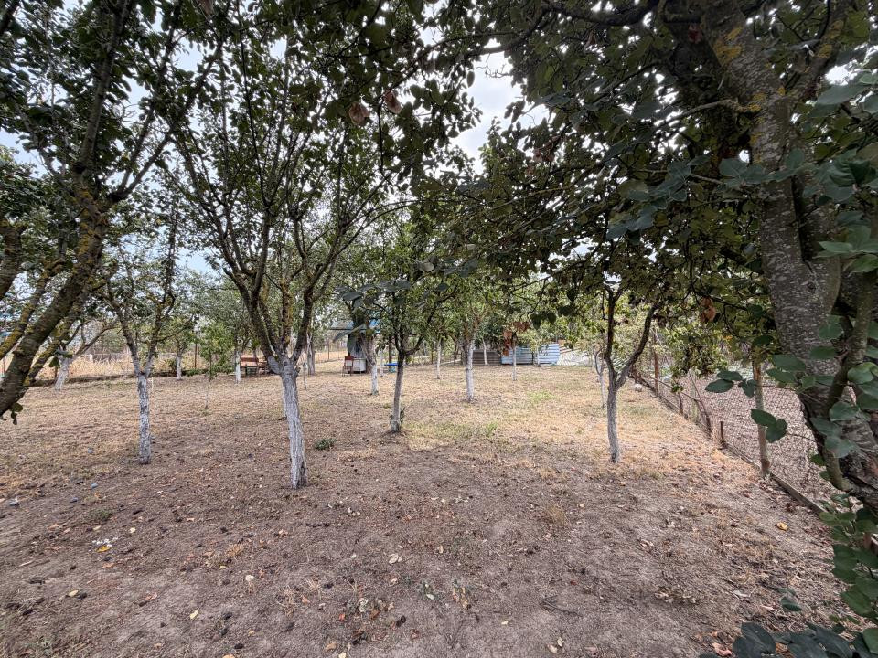 Casa individuala, 300 mp, utili, 1100 mp gradina   - Sag