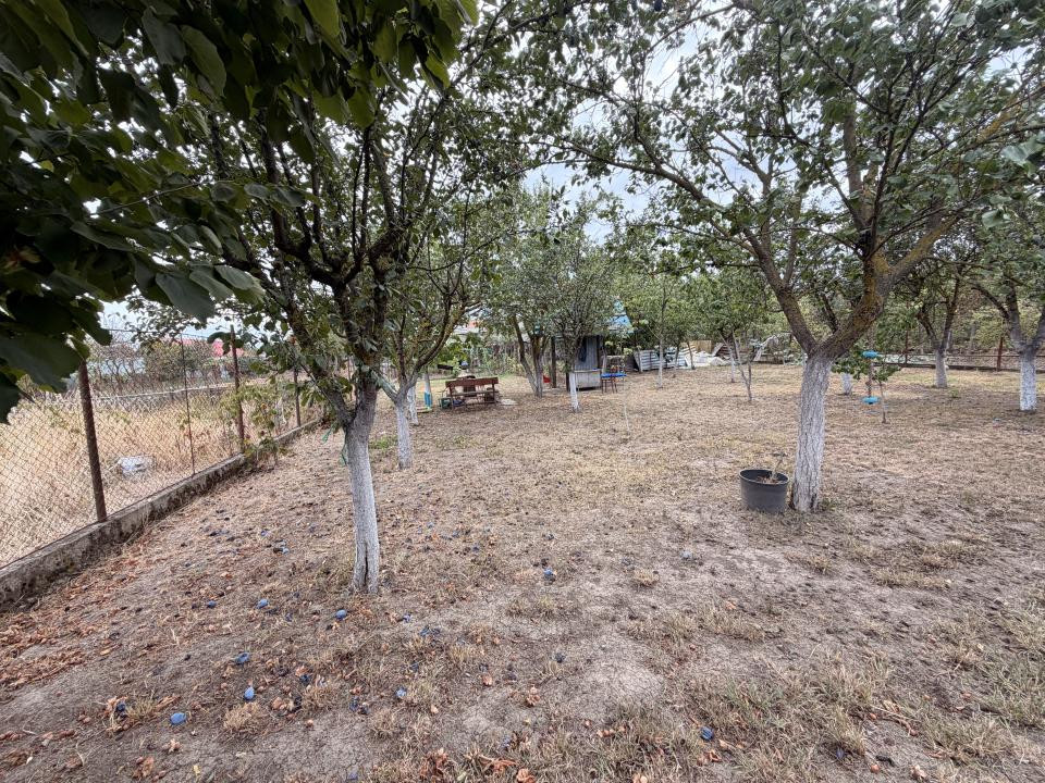 Casa individuala, 300 mp, utili, 1100 mp gradina   - Sag