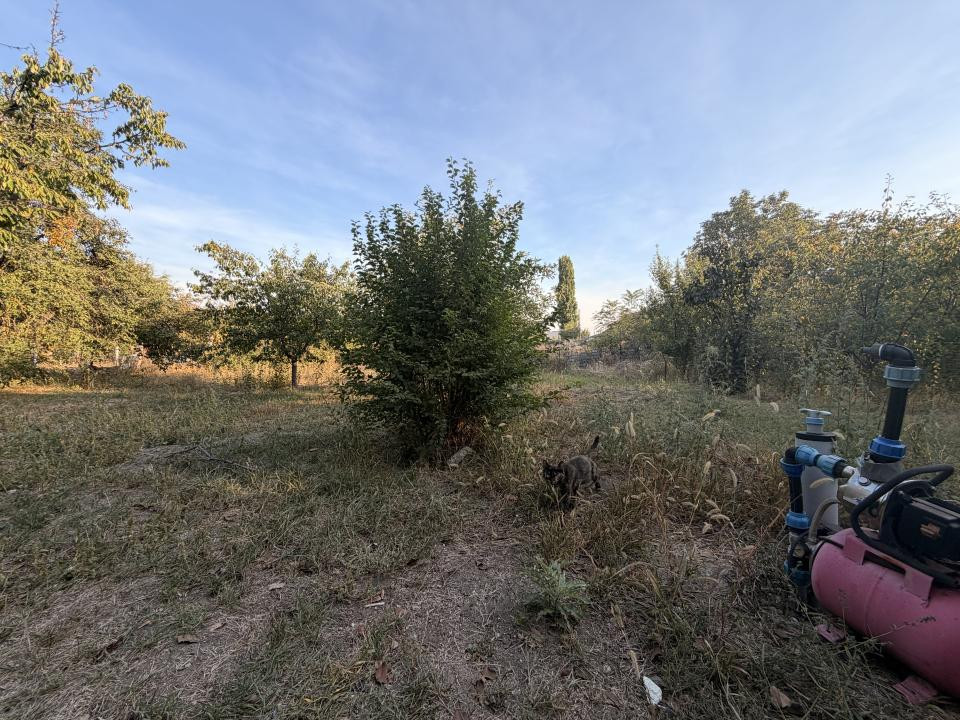 Casa individuala 110 mp utili, 1487 mp teren - Zona Blascovici