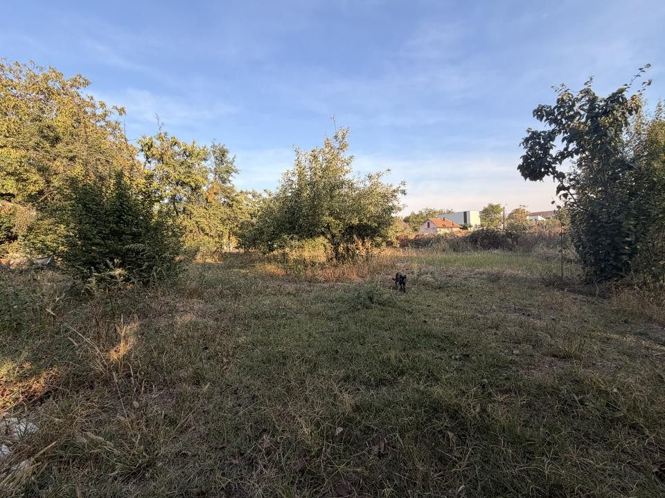 Casa individuala 110 mp utili, 1487 mp teren - Zona Blascovici