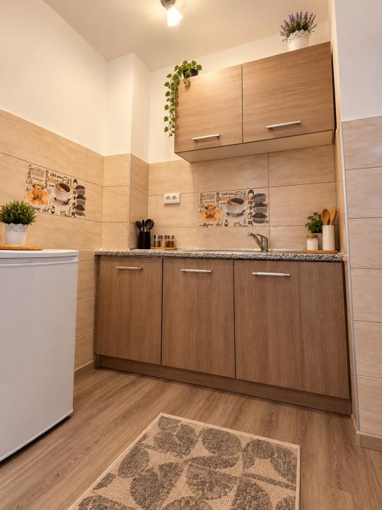 Apartament 1 camera, mobilat 22 mp, etaj 3 - Buziasului