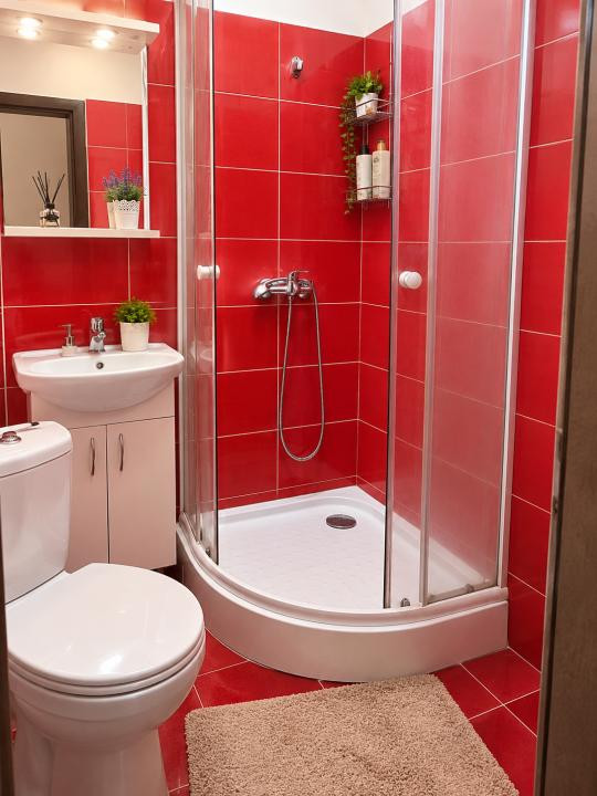 Apartament 1 camera, mobilat 22 mp, etaj 3 - Buziasului