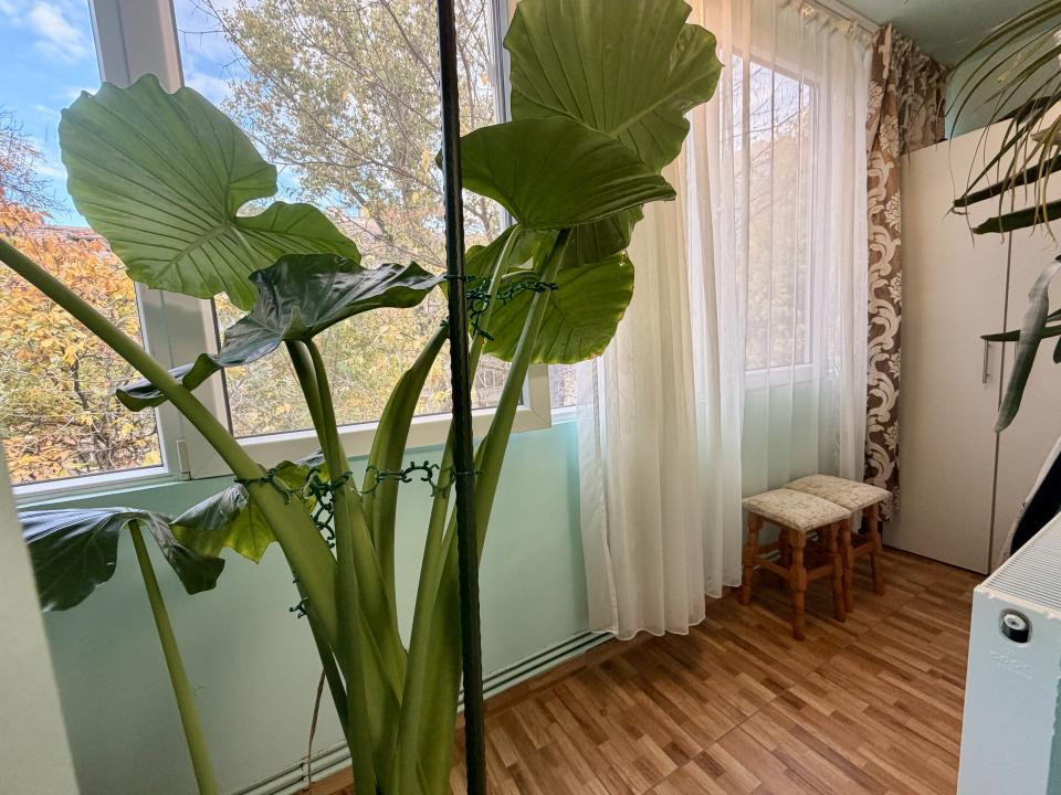 Apartament cu 3 camere, mobilat si utilat modern - zona Circumvalatiunii